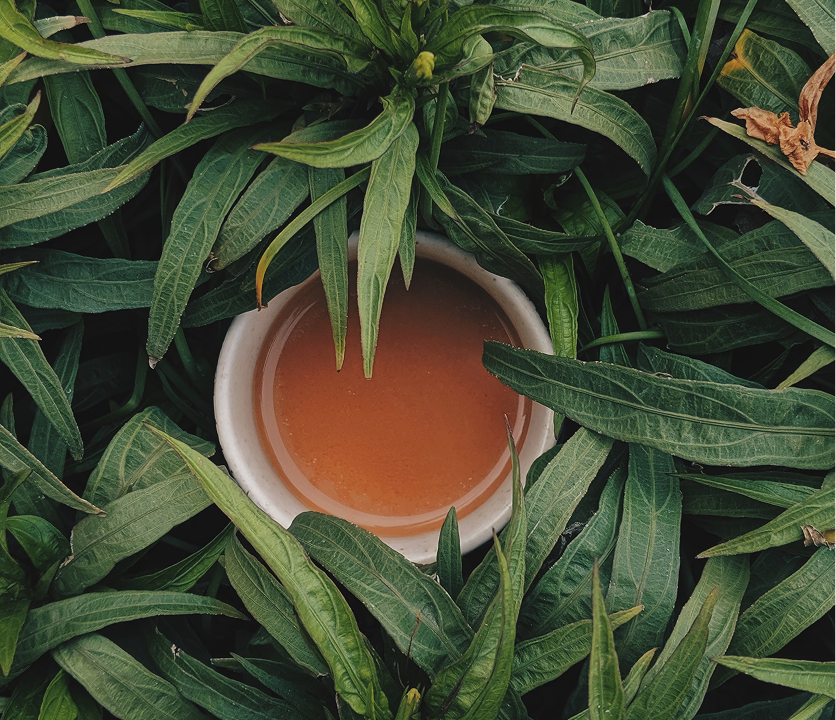 The Art of Steeping: How Long Is Too Long? - Teacle 