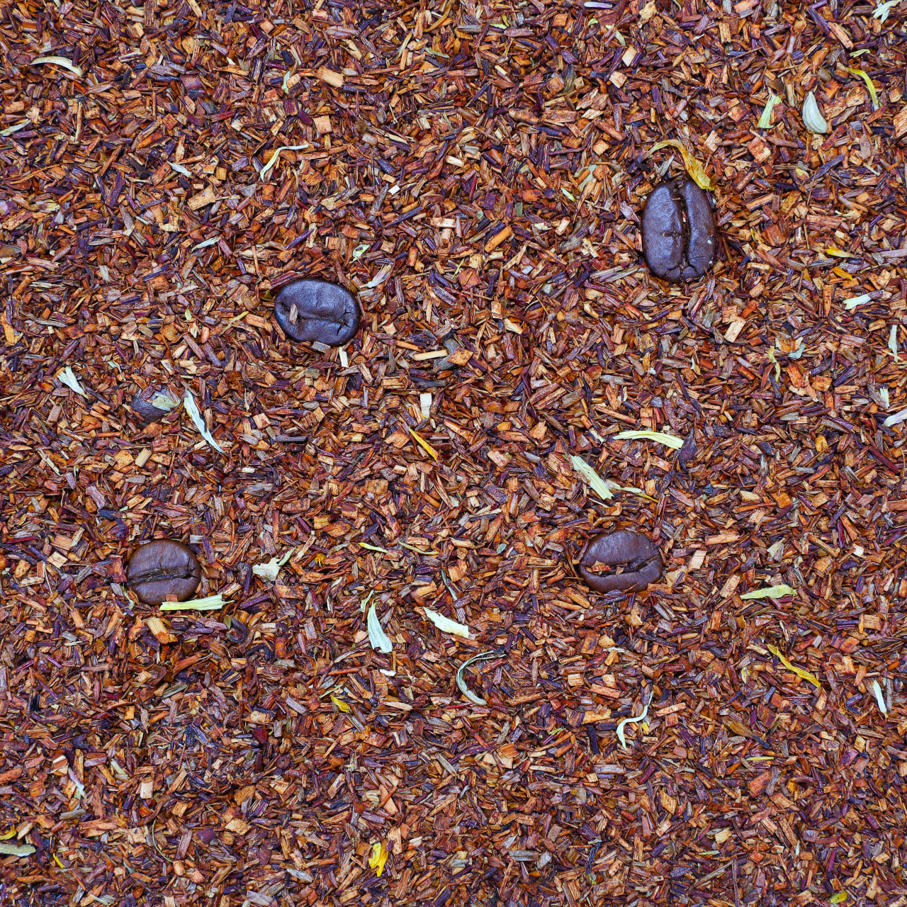 CARANOTE ROOIBOS TEA