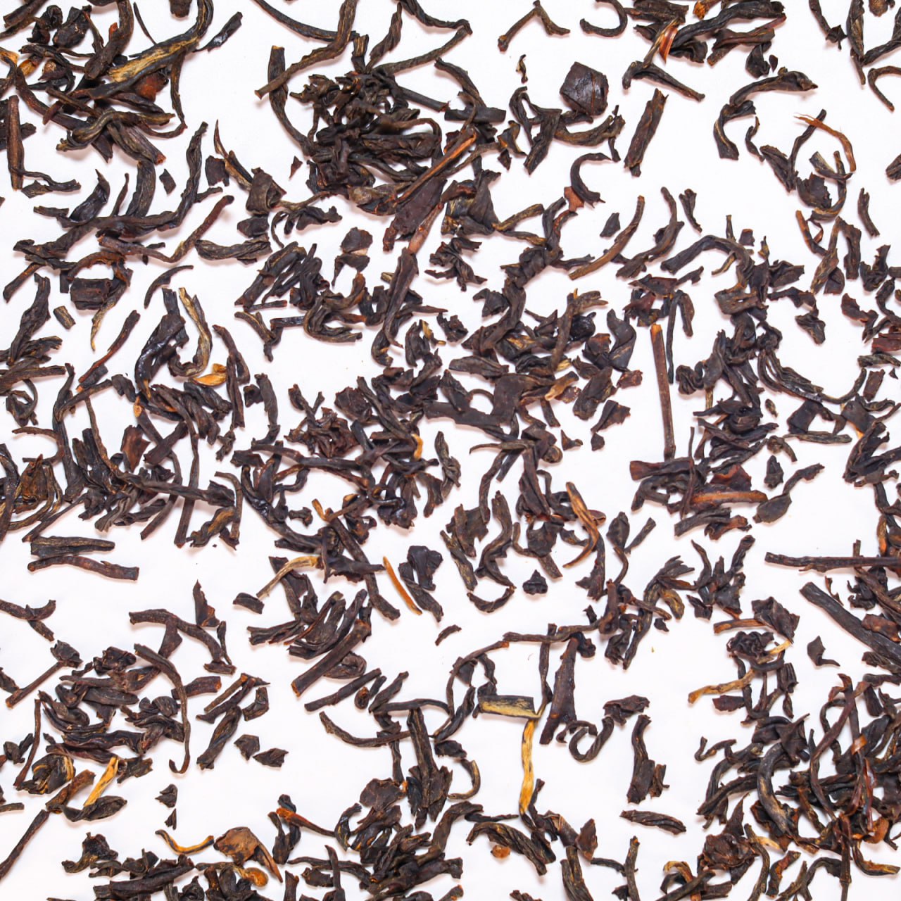 LAPSANG SOUCHONG ORGANIC BLACK TEA