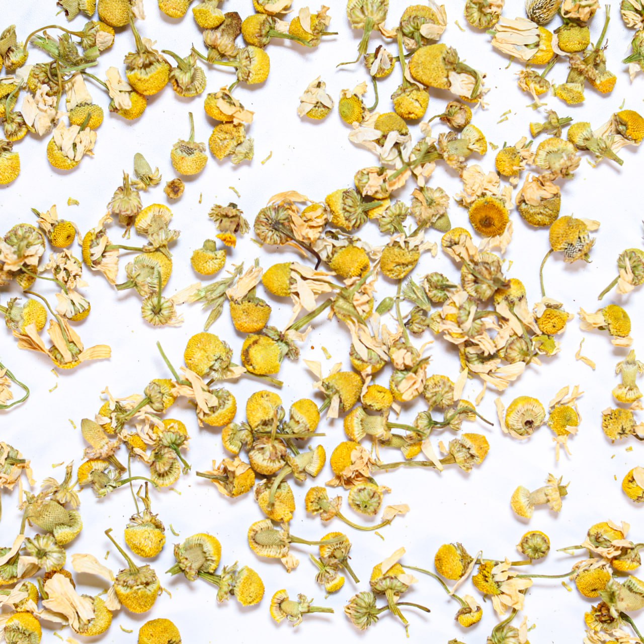 CHAMOMILE BLOSSOMS TEA
