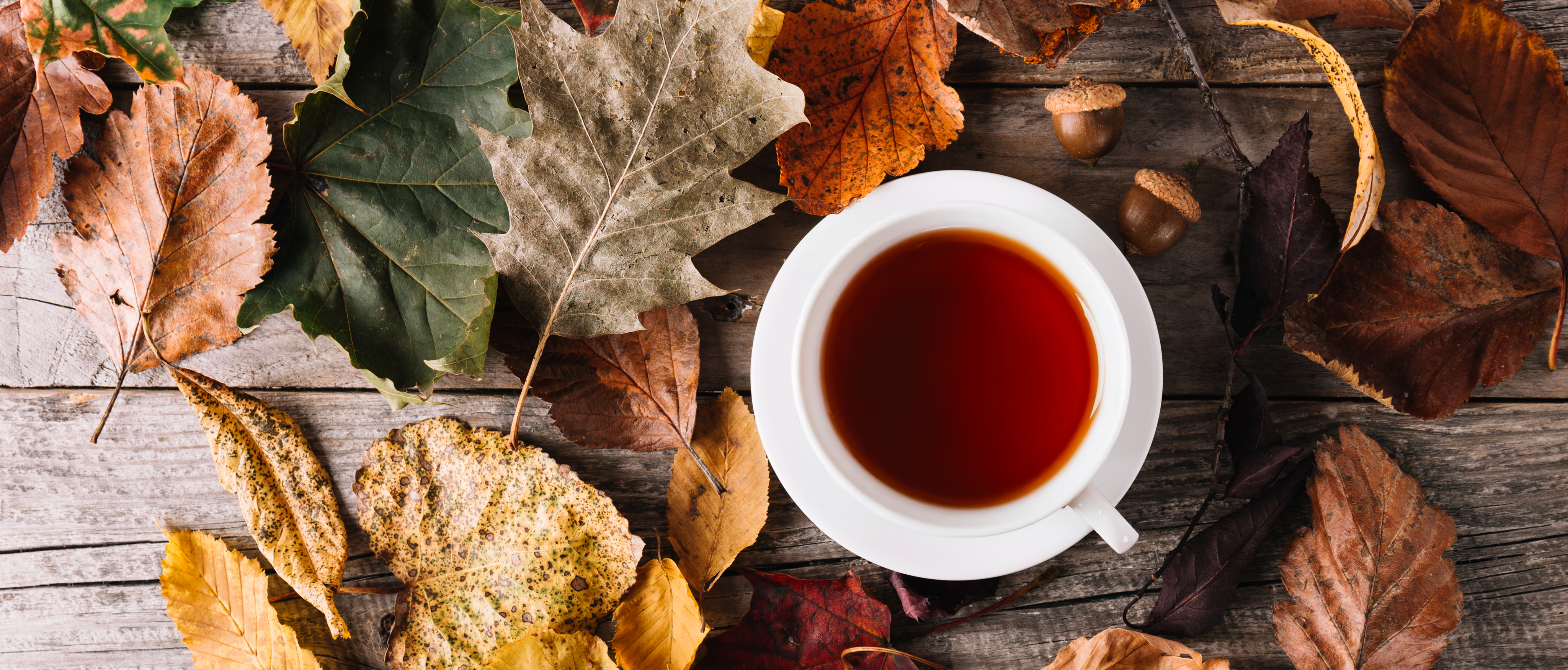 Tea subscription. Flexible, flavourful, and little cheaper too